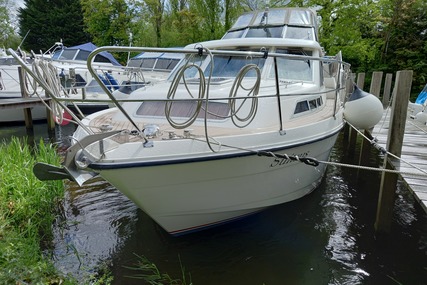 Broom Ocean 31