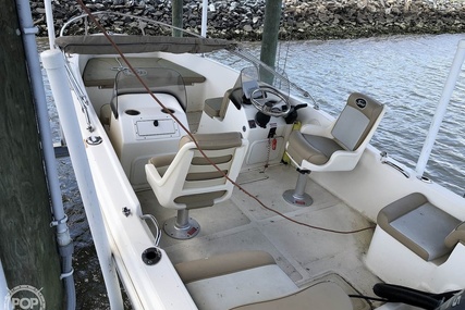 Scout 175 Sport Dorado