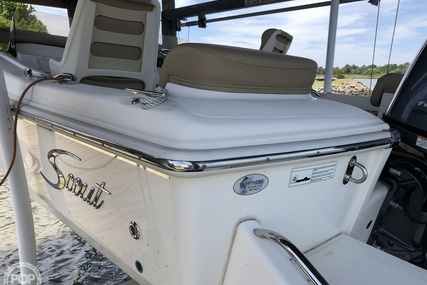 Scout 175 Sport Dorado