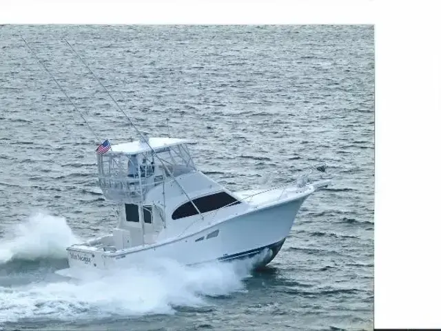 Luhrs 35 Convertible Flybridge