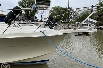 Chris-Craft Catalina 426