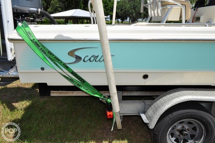 Scout Bay  240