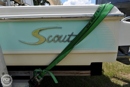 Scout Bay  240