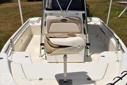 Scout Bay  240