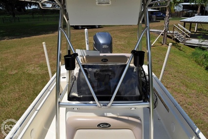 Scout Bay  240