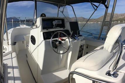 Boston Whaler 260 Outrage