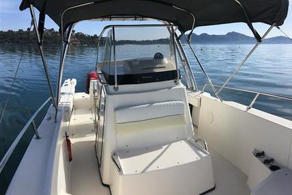 Boston Whaler 260 Outrage