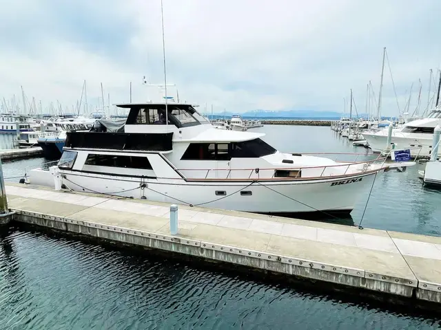 Angel Custom Skylounge Pilothouse