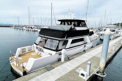 Angel Custom Skylounge Pilothouse