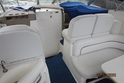 Bayliner Ciera 305