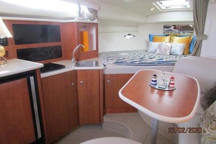 Bayliner Ciera 305