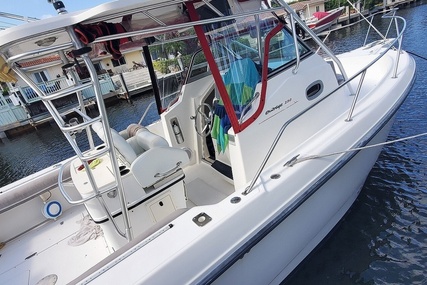 Boston Whaler 290 Outrage