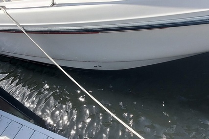 Boston Whaler 290 Outrage