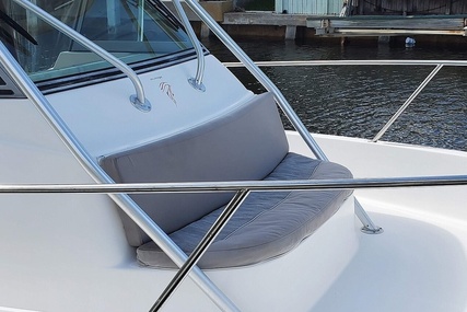 Boston Whaler 290 Outrage