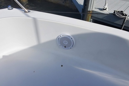 Boston Whaler 290 Outrage