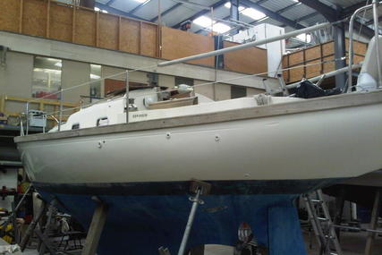 Seacracker 33