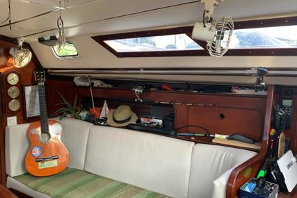 Beneteau First 345