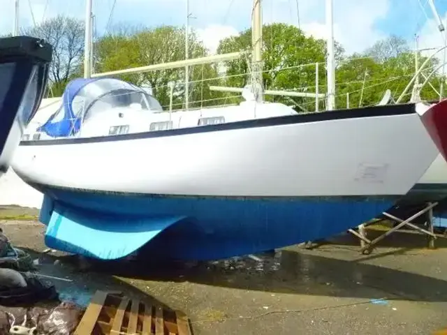 Freeman Seadog 30