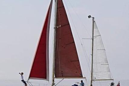 Freeman Seadog 30