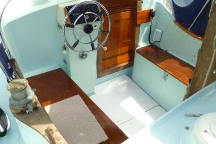 Freeman Seadog 30