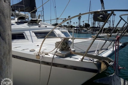 Solaris 42