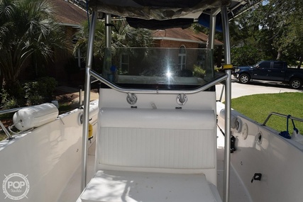 Robalo R230