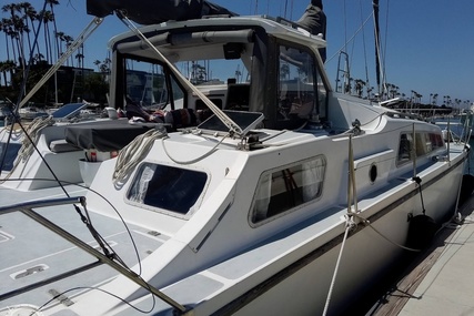 Solaris 42