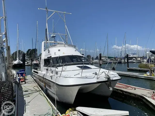 Noosa Performance cat 38