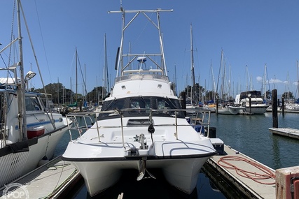 Noosa Performance cat 38