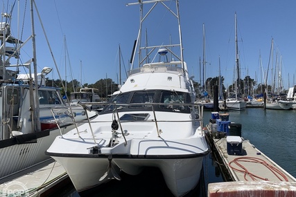 Noosa Performance cat 38