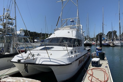 Noosa Performance cat 38