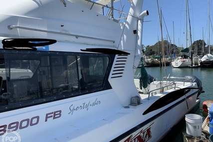 Noosa Performance cat 38