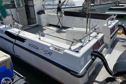 Noosa Performance cat 38