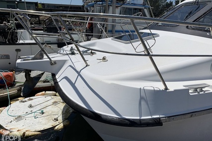 Noosa Performance cat 38