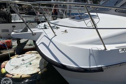 Noosa Performance cat 38