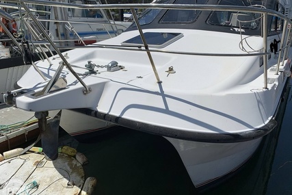 Noosa Performance cat 38