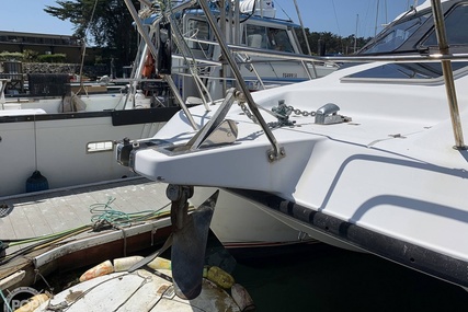 Noosa Performance cat 38