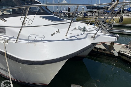 Noosa Performance cat 38