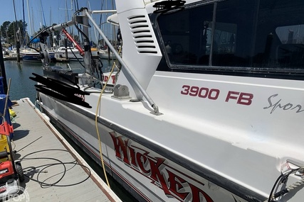 Noosa Performance cat 38