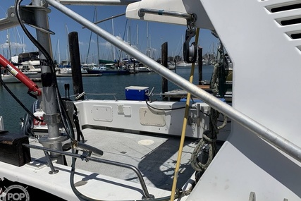 Noosa Performance cat 38