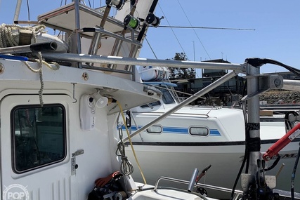 Noosa Performance cat 38