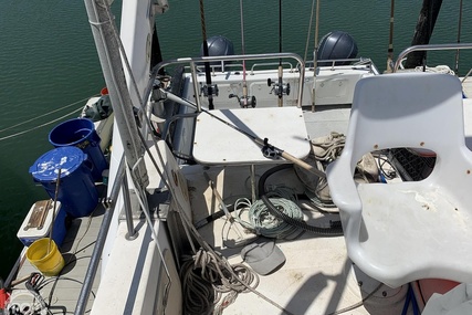 Noosa Performance cat 38