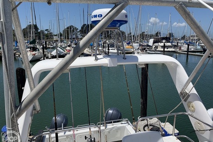 Noosa Performance cat 38