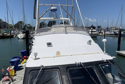 Noosa Performance cat 38