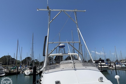 Noosa Performance cat 38