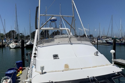 Noosa Performance cat 38