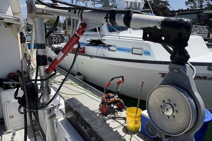 Noosa Performance cat 38