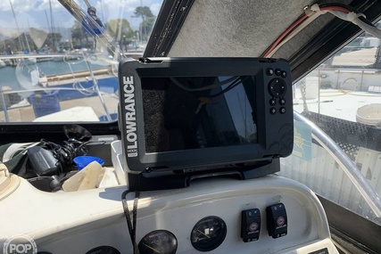 Noosa Performance cat 38