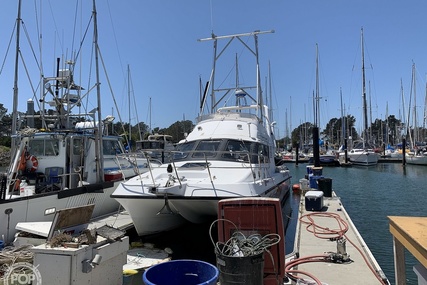 Noosa Performance cat 38