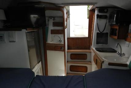 Contender 35 Express Side Console